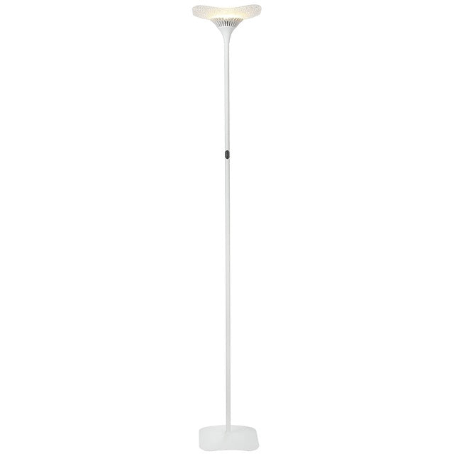 Glass LED Floor Lamp